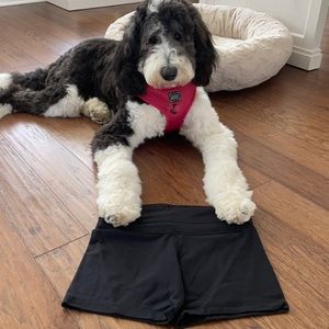 Black Lululemon Groove Shorts 4”